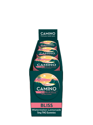 Camino Gummies Watermelon Lemonade 'Bliss' 100mg (12-pack PDQ Display)