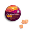 Camino Sours Orchard Peach CBD 10:10 100mg Case (12ct)