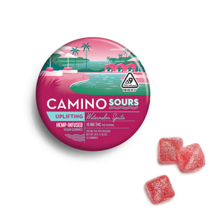 Camino Sours Watermelon Spritz 100mg Case (12ct)